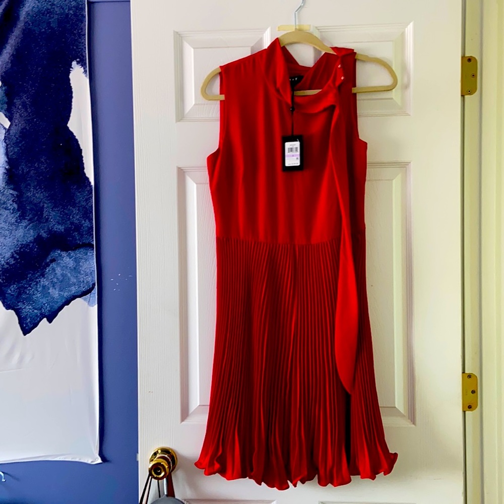 Beautiful red pleated dress. Brand new with tags.